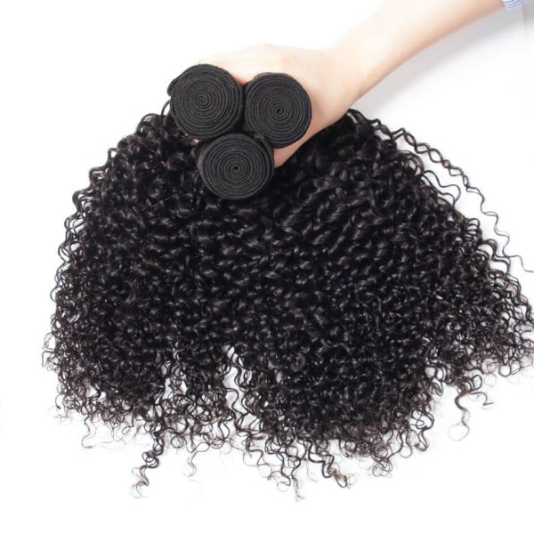 Curly 4 Bundles With 4x4 HD Lace Closure High Quality Brazilian Virgin Hair With Closure