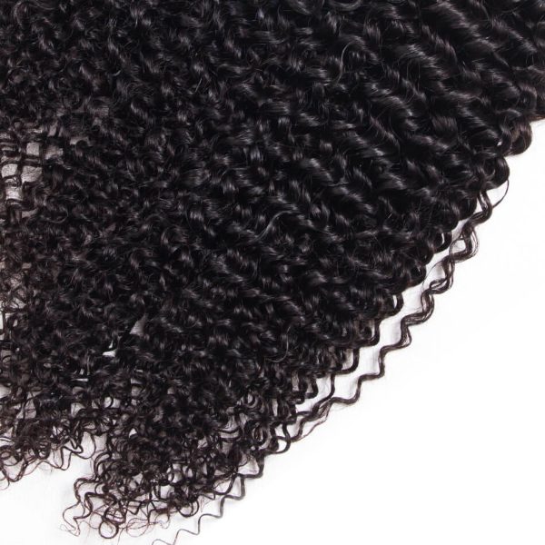 Brazilian Curly Hair 1 Bundle