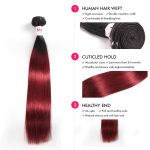 Brazilian Virgin Hair Ombre  Color 1B/99J Straight Bundles 100%  Natural Human Hair Extensions