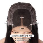 4x4 Closure Wig Water Wave Human Hair Wig