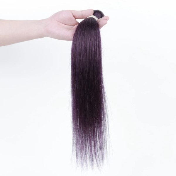 Human Hair 3 Bundles with Closure Straight Hair Weave Purple Color