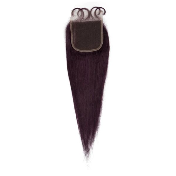 Human Hair 3 Bundles with Closure Straight Hair Weave Purple Color