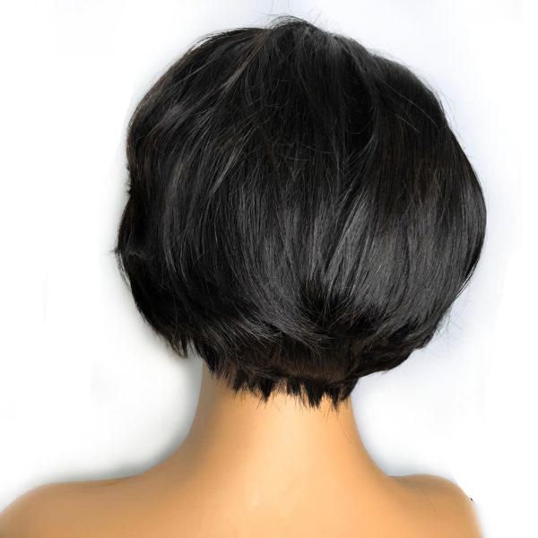 Short Pixie Cut Wig Remy Human Hair Glueless Lace Front Wigs HD Lace Wigs