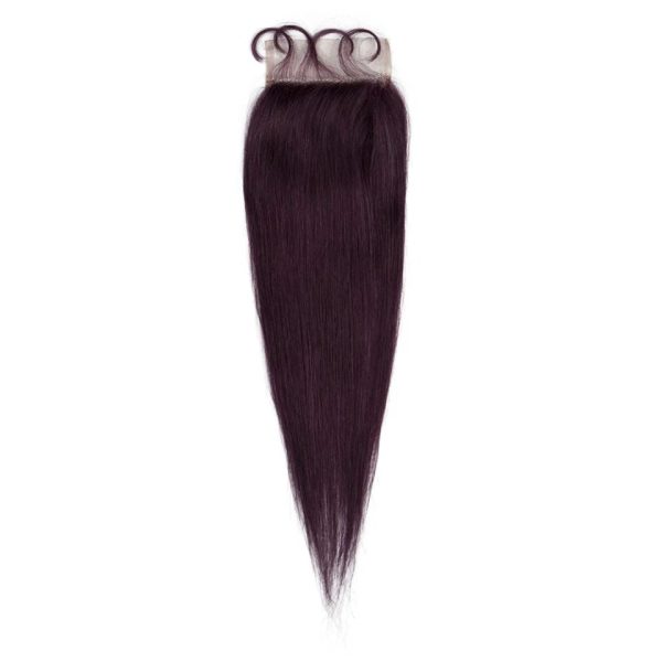 Human Hair 3 Bundles with Closure Straight Hair Weave Purple Color