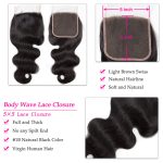 5x5 Body Wave Lace Closure Brazilian Virgin Hair