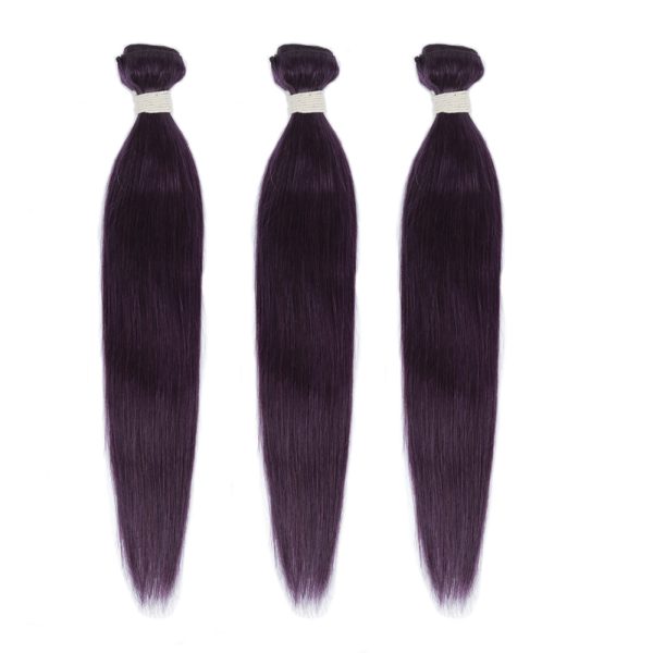 Human Hair 3 Bundles with Closure Straight Hair Weave Purple Color