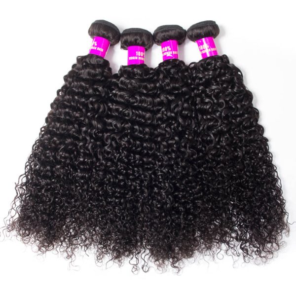 Curly 4 Bundles With 4x4 HD Lace Closure High Quality Brazilian Virgin Hair With Closure