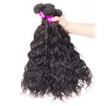 3 Bundles With Closure Water Wave Human Hair Weave Bundles With HD Lace Closure