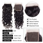 3 Bundles With Closure Water Wave Human Hair Weave Bundles With HD Lace Closure