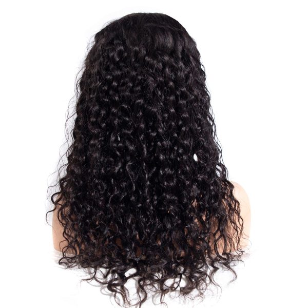 4x4 Closure Wig Water Wave Human Hair Wig