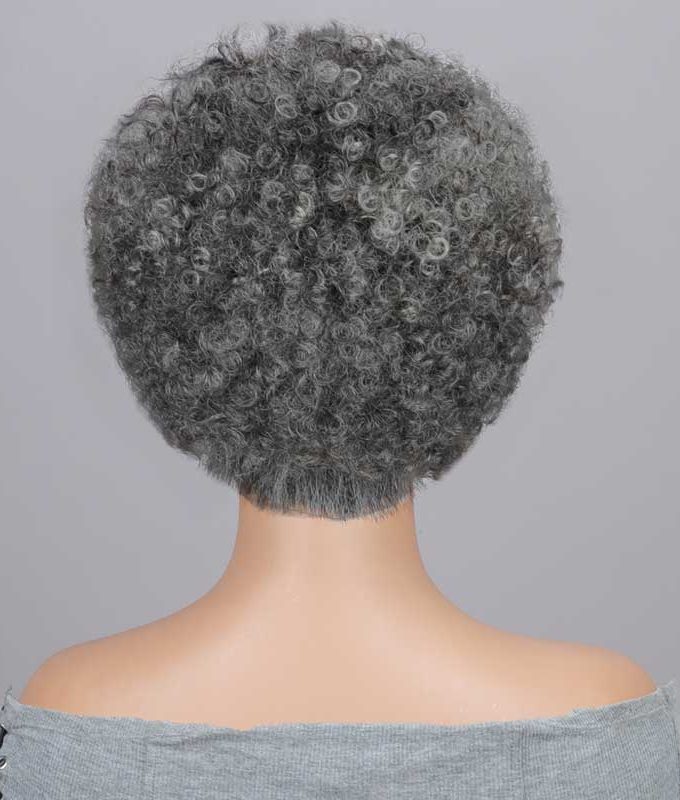 Seniors Short Jerry Curly Silver Pixie Cut Wig Salt and Pepper 4x1 Lace Glueless Human Hair Wig