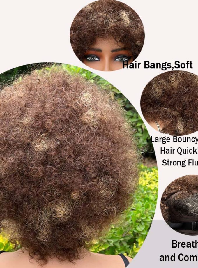 Short Highlight Fluffy Afro Kinky Curly Wig With Bangs Human Hair P4/27 Ombre Glueless Wig