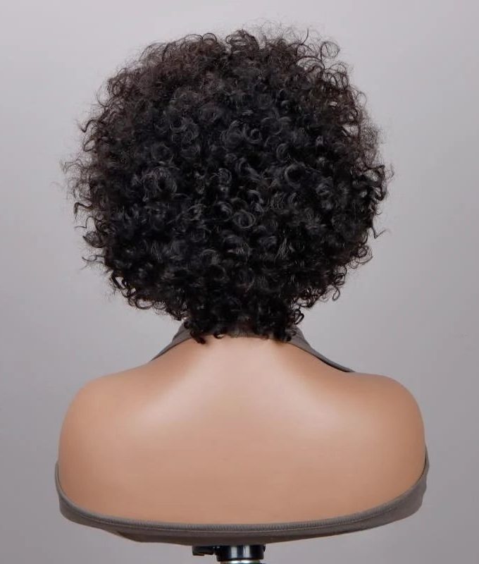 13x4 HD Lace Full Frontal Wig Short Curly Wig Pixie Haircuts 6 Inch Boom Wigs