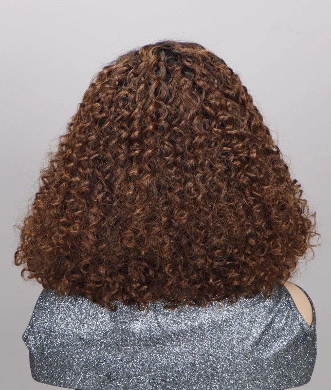 Jerry Curly Wigs Ombre Brown 4x4 HD Lace Closure Wig Glueless Human Hair Wig Side Part Short Curly Wig
