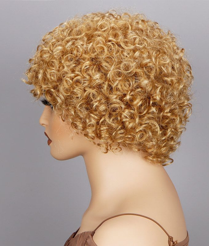 Short Afro Wigs Golden Blonde Boom Bouncy Curly Wig Real Human Hair Glueless Wear And Go Wigs