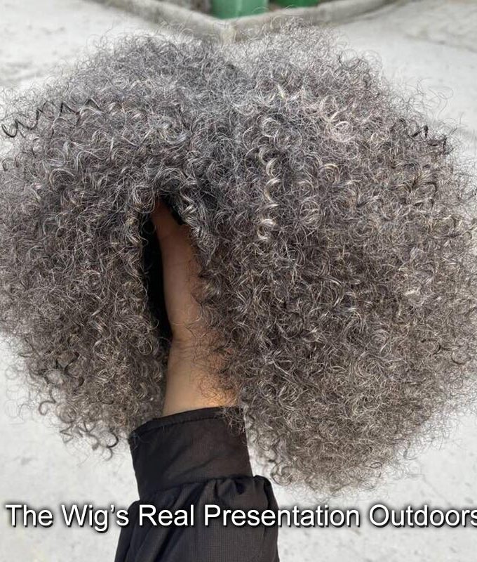 Silver Grey Wig For Seniors Beginner Friendly Salt and Pepper Color Afro Kinky Curly Human Hair Wear and Go Wig
