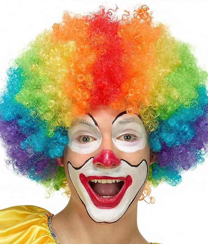 Rainbow Clown Wig Short Bouncy Afro Curly Halloween Costume Wig For Party Carnival Wear and Go Wigs