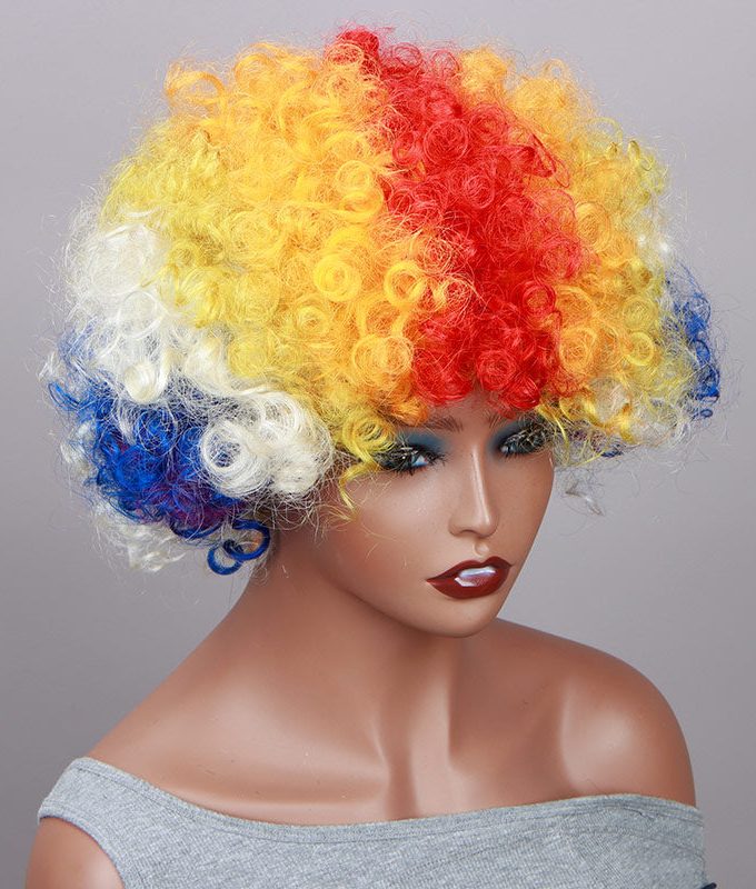 Rainbow Clown Wig Short Bouncy Afro Curly Halloween Costume Wig For Party Carnival Wear and Go Wigs