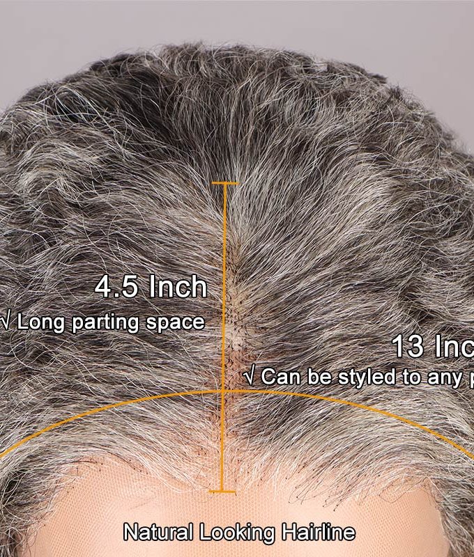 Graceful Silver Gray Wig For Seniors Full Frontal 13x4 HD Lace Wig Standard Salt And Pepper Jerry Curly Human Hair