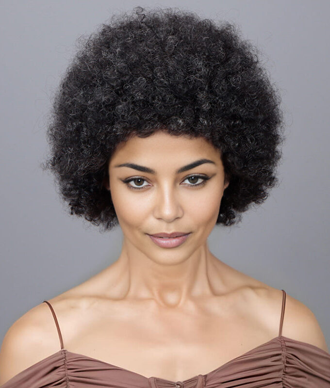 Ready To Go Wigs Dark Salt And Pepper Afro 4C Kinky Curly Human Hair Glueless Wig Beginner Friendly For Women